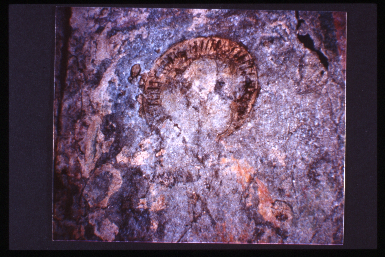 dipinto, frammento di Cavallini Pietro (cerchia) (terzo quarto sec. XIV)