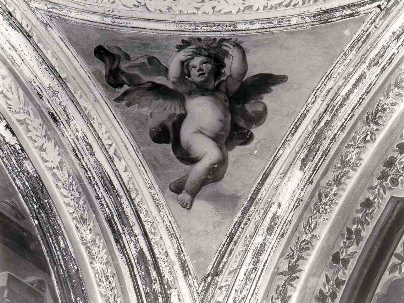 putto alato (dipinto, elemento d'insieme) di Mastroleo Giuseppe (sec. XVIII)