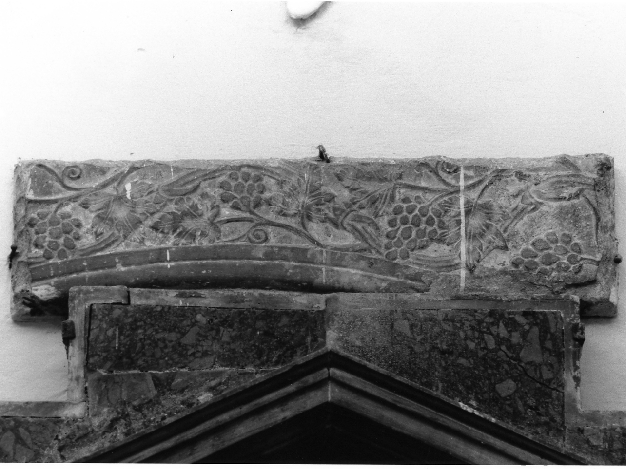 motivi decorativi a tralci di vite (rilievo, frammento) - bottega napoletana (metà sec. XIII)