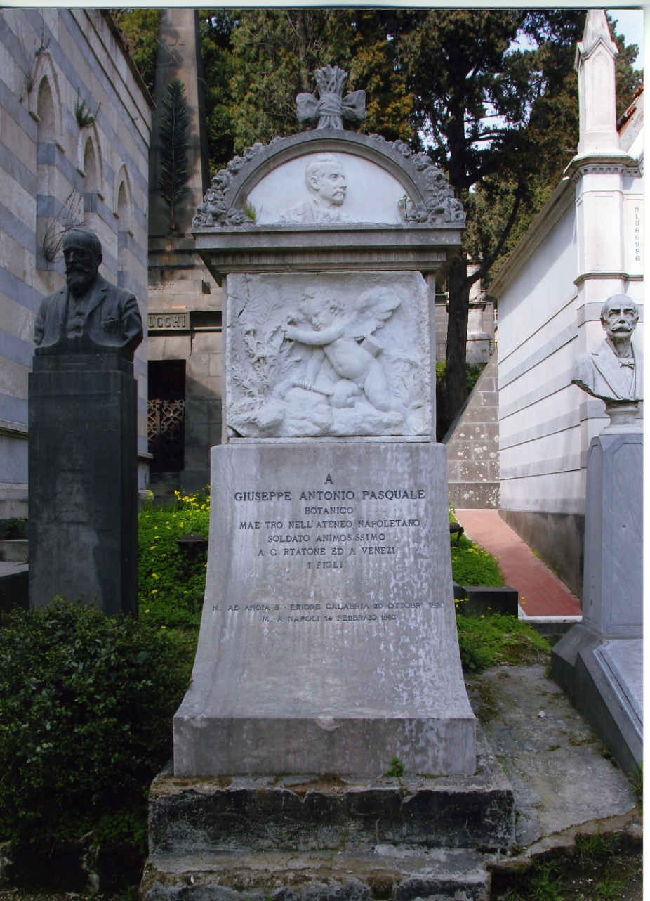 monumento funebre, insieme di Ierace Francesco (sec. XX)