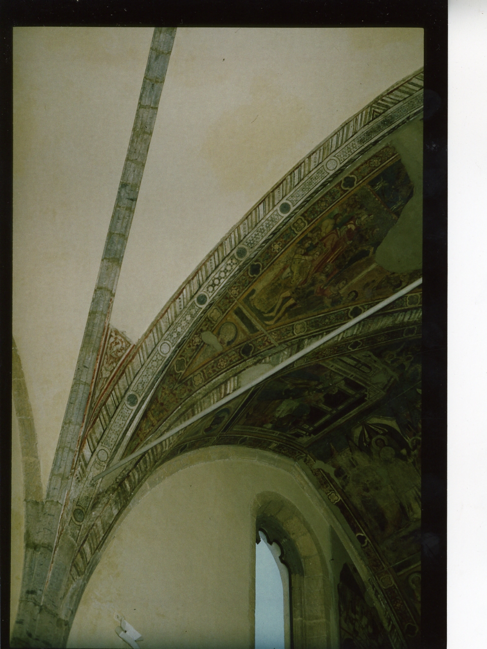 motivi decorativi geometrici (decorazione pittorica) di D'Oderisio Roberto (metà sec. XIV)