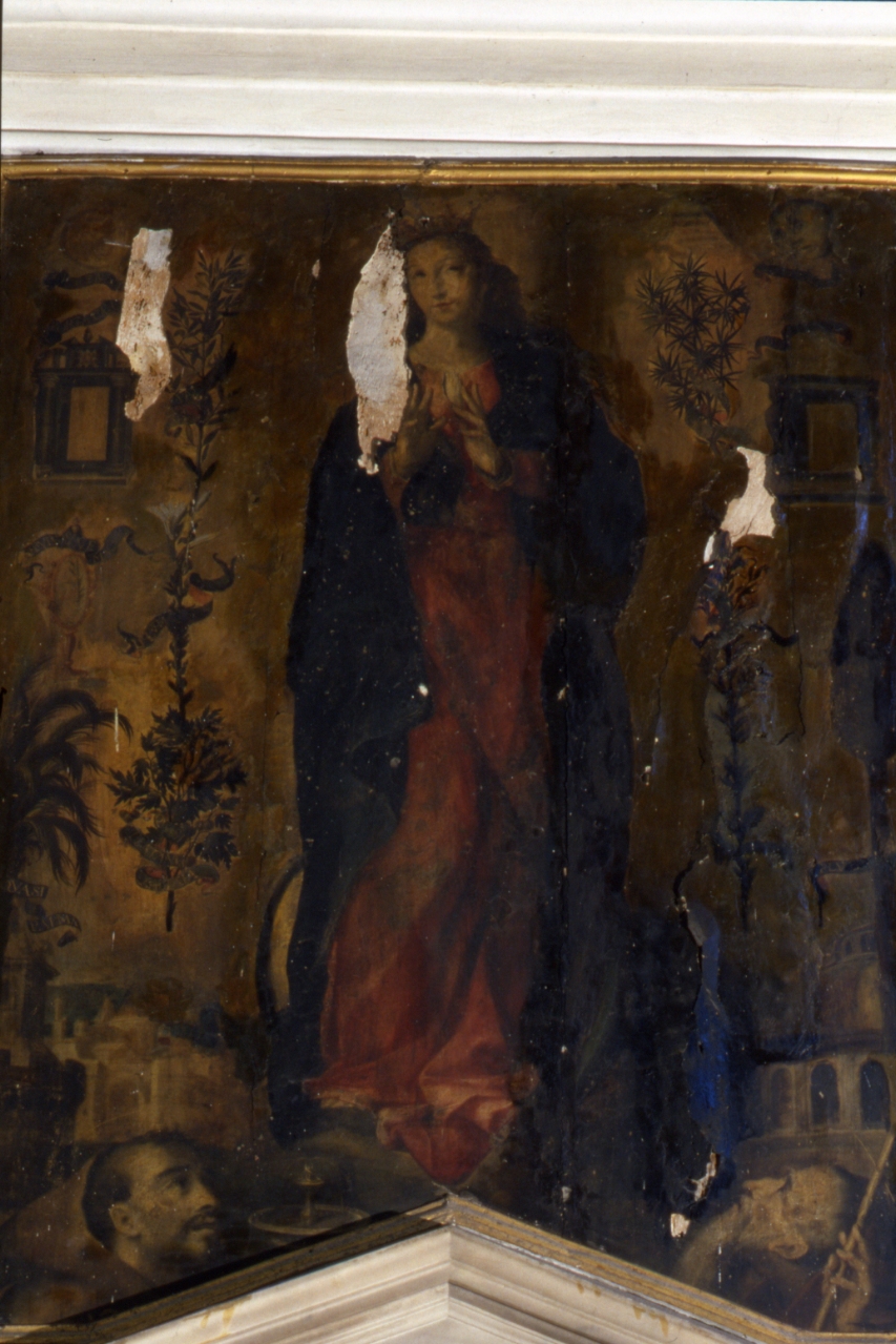 Immacolata Concezione e santi (dipinto) di D'Errico Teodoro (fine sec. XVI)