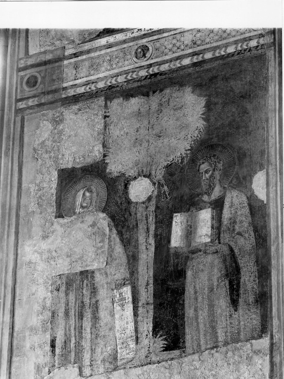 profeta e apostolo (dipinto) di Cavallini Pietro (scuola) (metà sec. XIV)