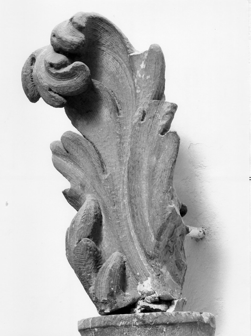 decorazione plastica - bottega napoletana (metà sec. XVII)