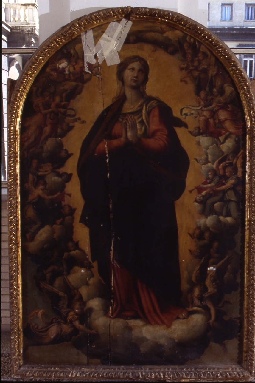 Immacolata Concezione (dipinto) di Curia Francesco (seconda metà sec. XVI)