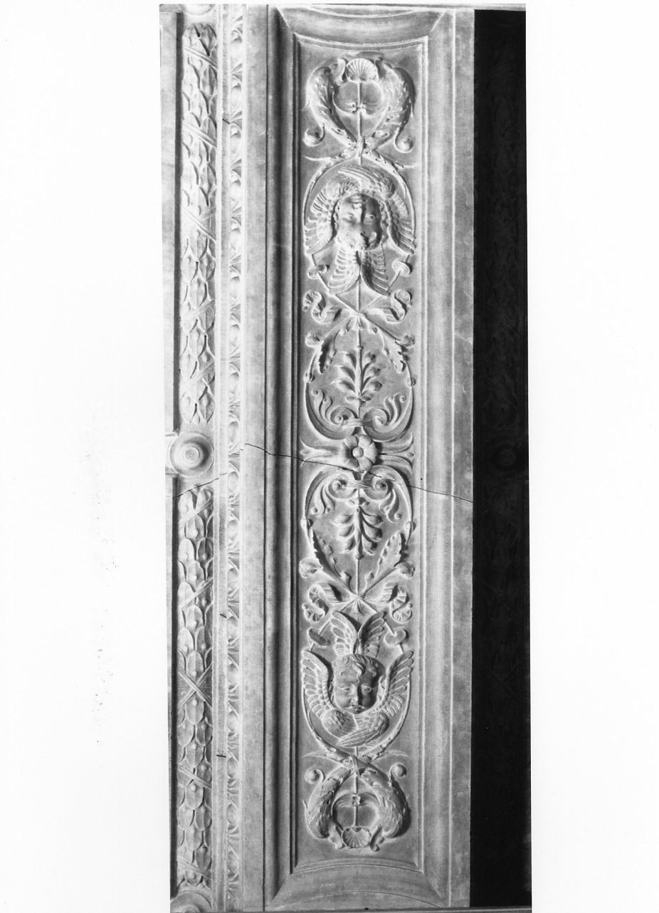 lesena, serie - bottega dei Malvito (inizio sec. XVI)