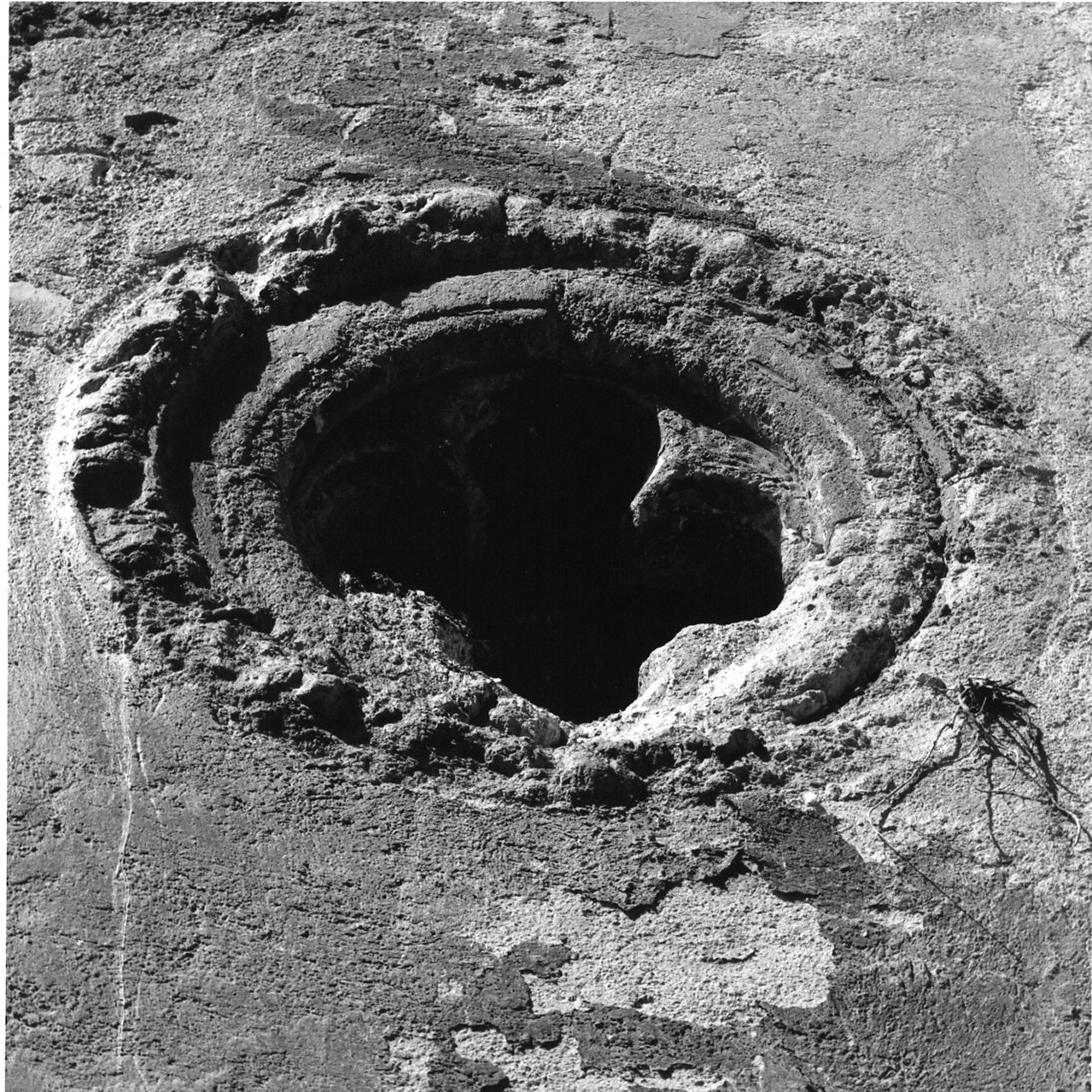 monofora - bottega napoletana (prima metà sec. XIV)