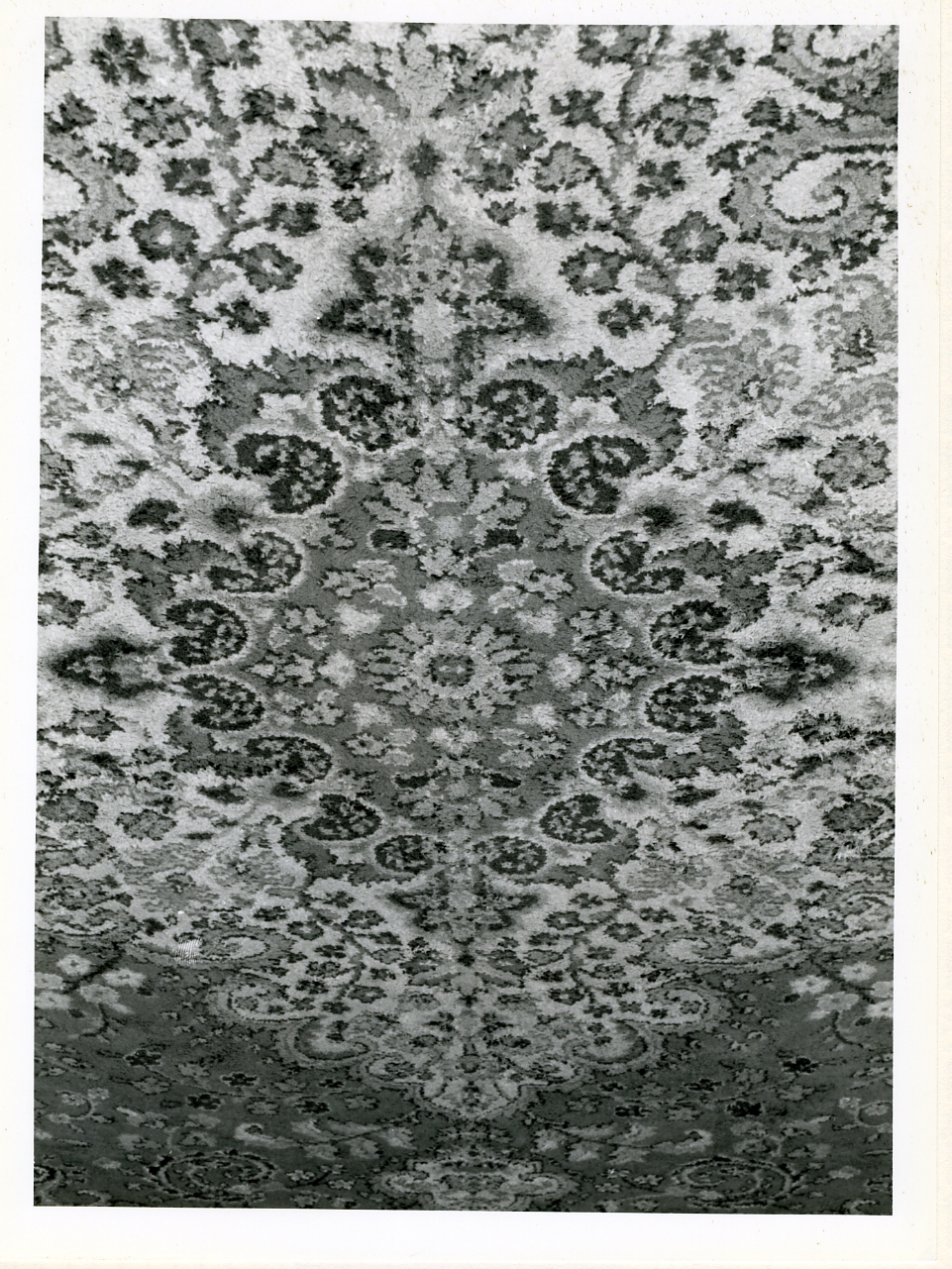 tappeto - manifattura napoletana (sec. XIX)