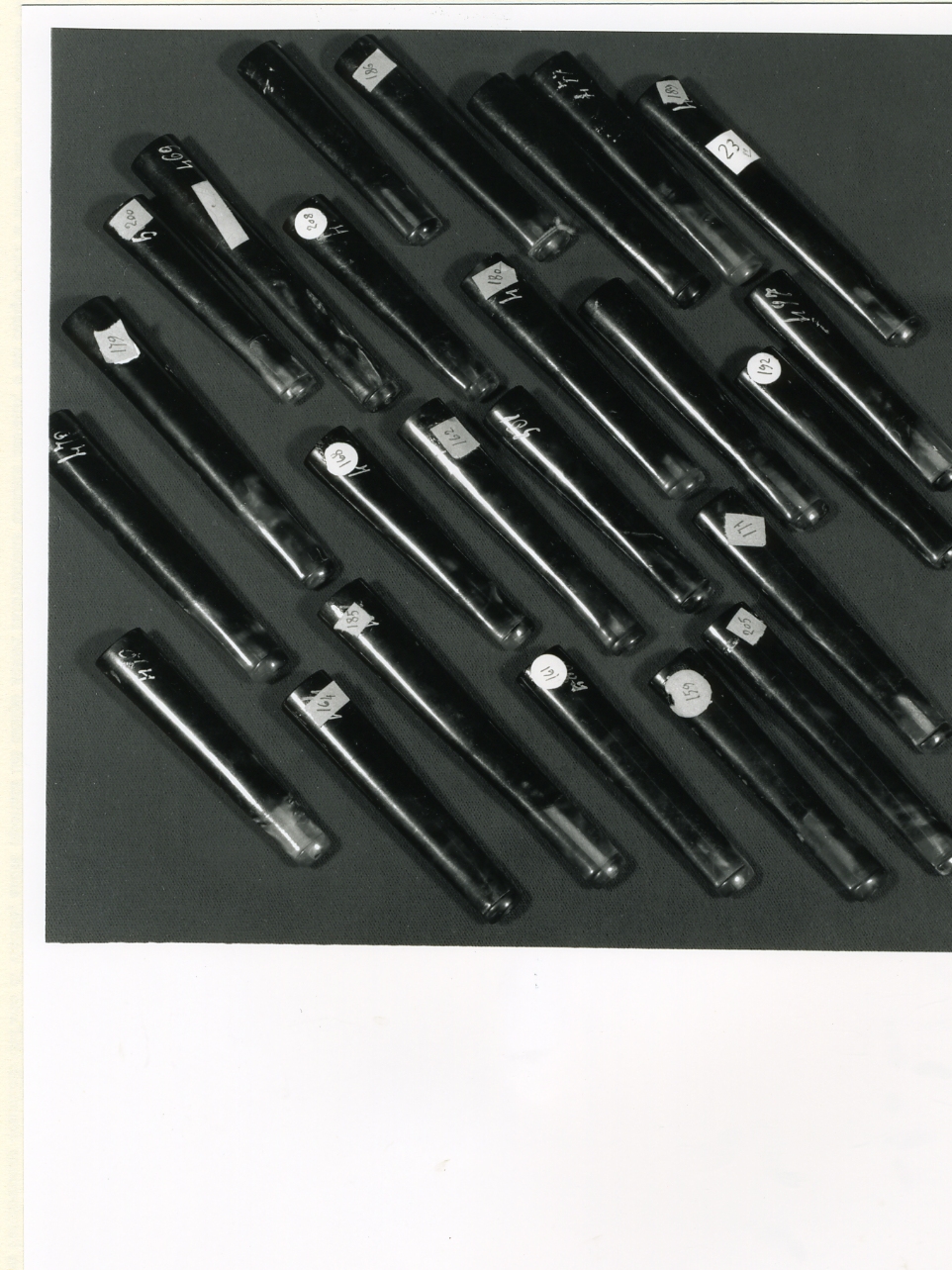 manica, serie - bottega napoletana (fine/inizio secc. XIX/ XX)