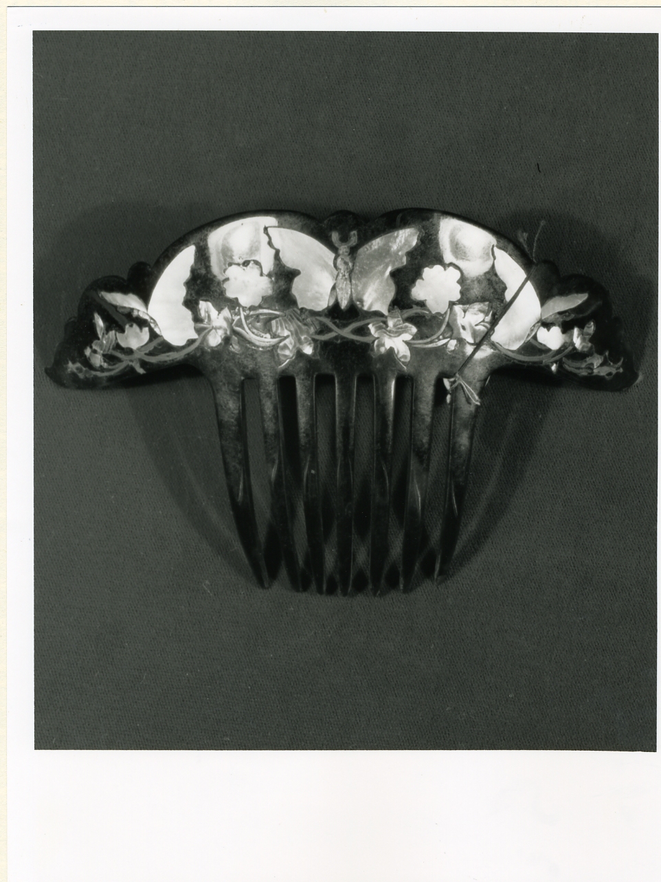 pettine - bottega napoletana (fine/inizio secc. XIX/ XX)