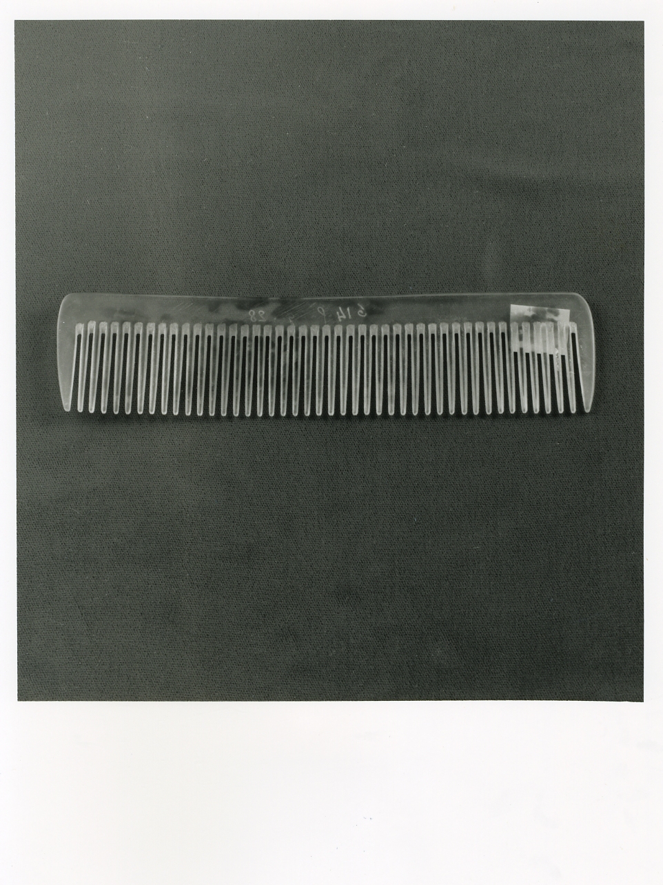 pettine - bottega napoletana (fine/inizio secc. XIX/ XX)