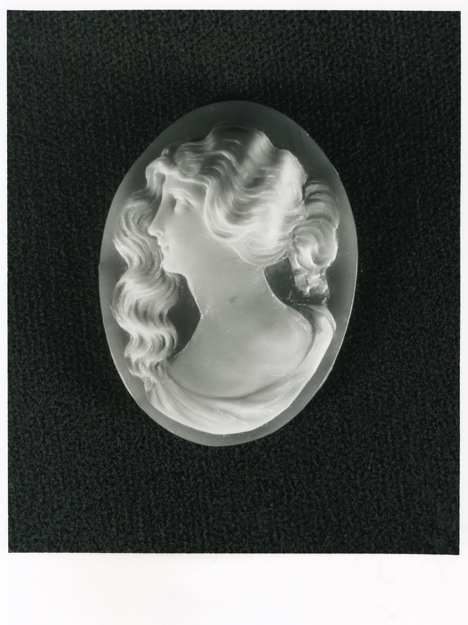 testa di donna (cammeo) - bottega napoletana (inizio sec. XX)
