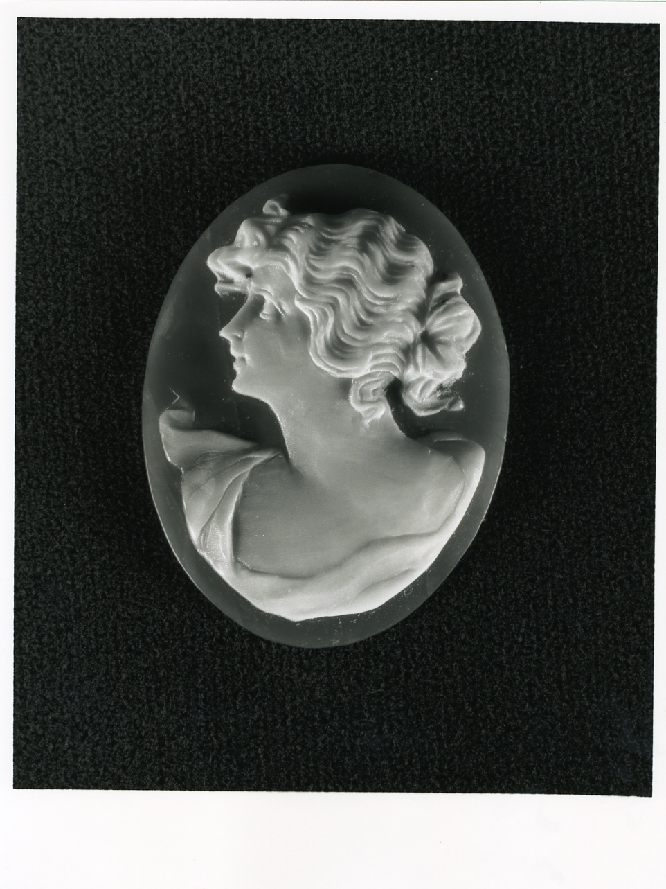 testa di donna (cammeo) - bottega napoletana (inizio sec. XX)