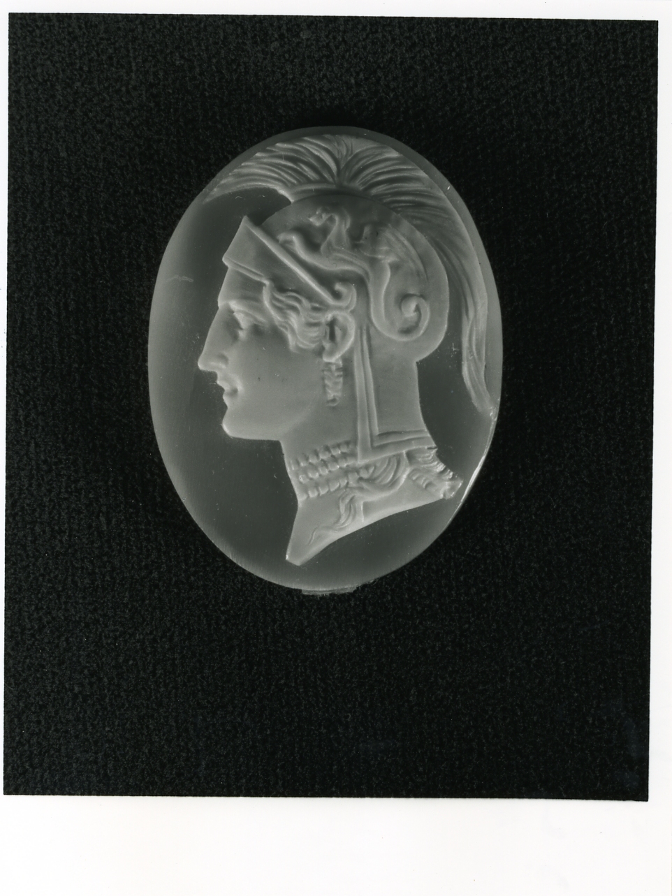 testa d'uomo di profilo (cammeo) - bottega napoletana (inizio sec. XX)