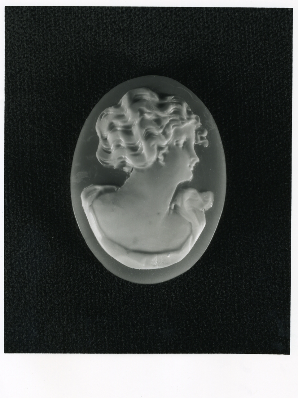 testa di donna (cammeo) - bottega napoletana (inizio sec. XX)