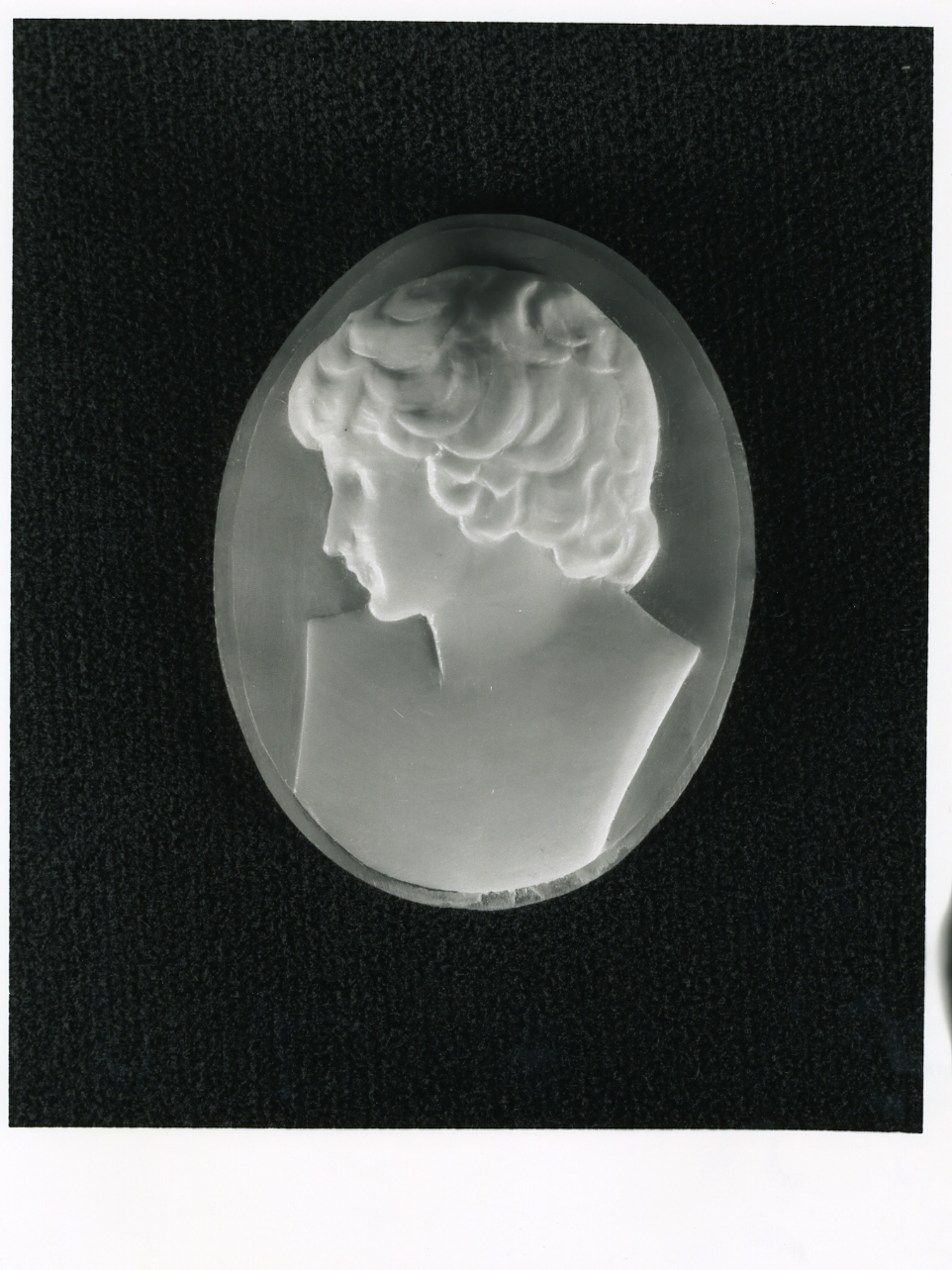 testa di bambino (cammeo) - bottega napoletana (inizio sec. XX)