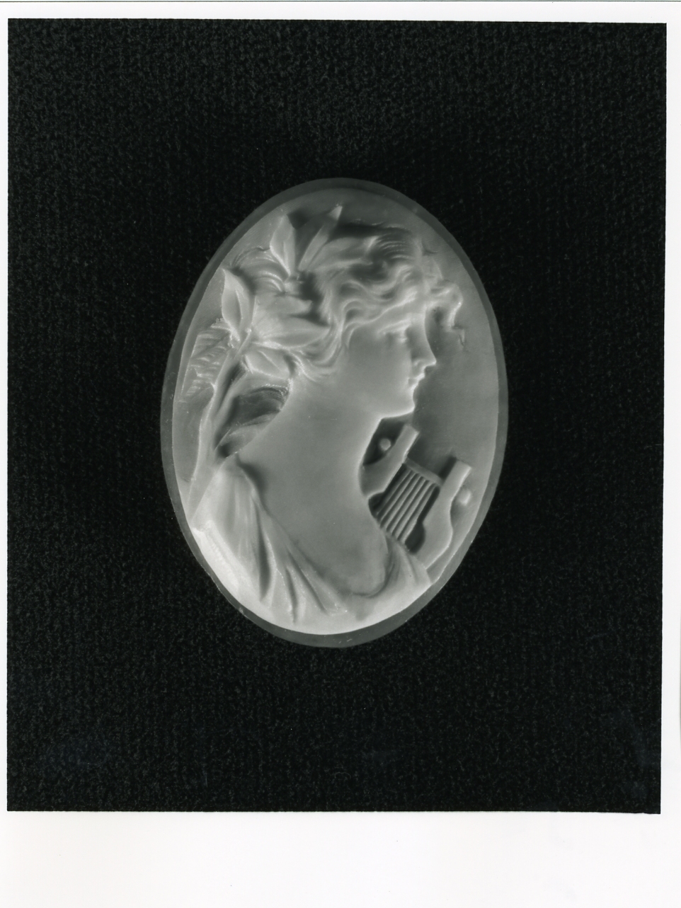testa di donna (cammeo) - bottega napoletana (inizio sec. XX)