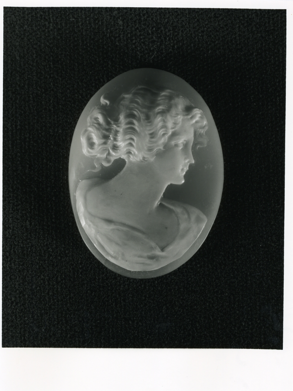 testa di donna (cammeo) - bottega napoletana (inizio sec. XX)