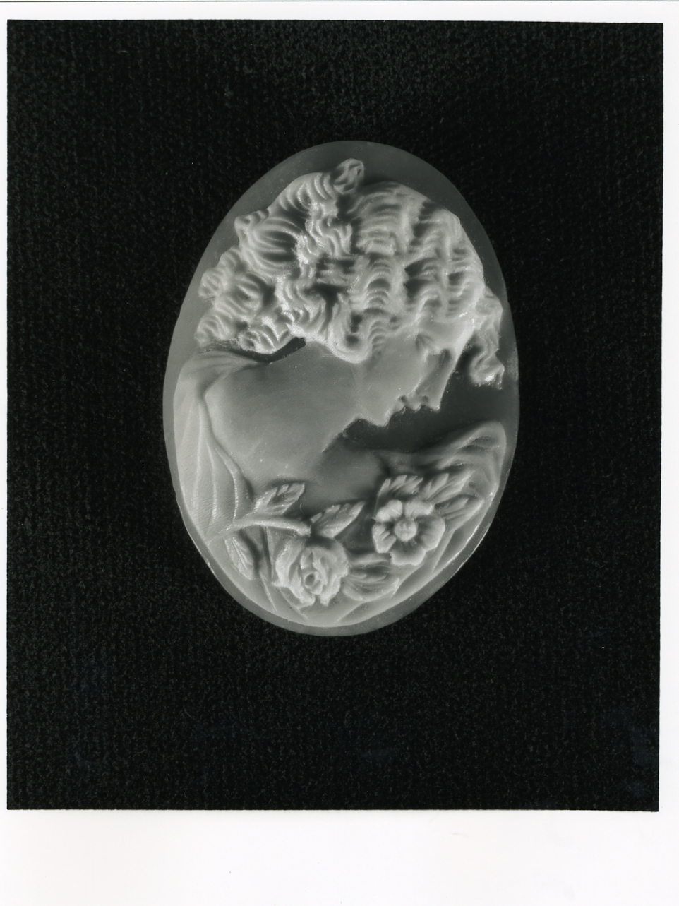 testa di donna (cammeo) - bottega napoletana (inizio sec. XX)