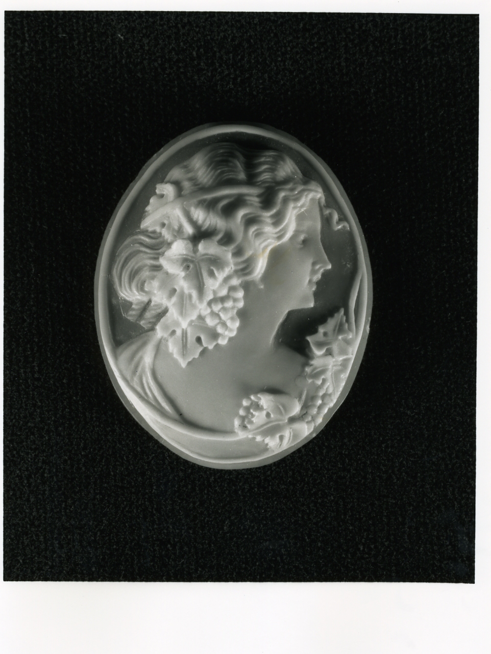testa di donna (cammeo) - bottega napoletana (inizio sec. XX)