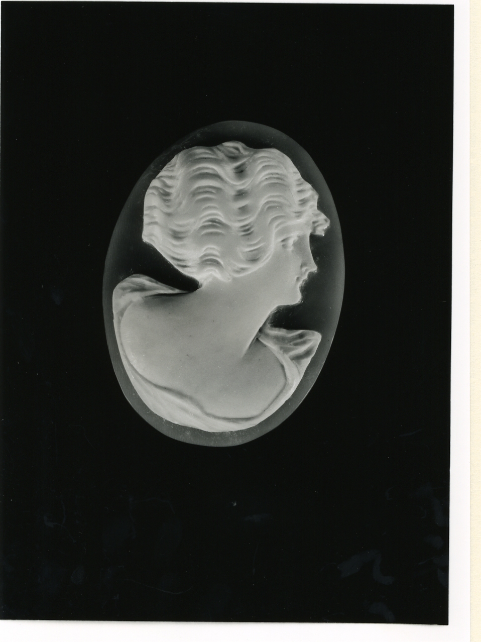 testa di donna (cammeo) - bottega napoletana (inizio sec. XX)
