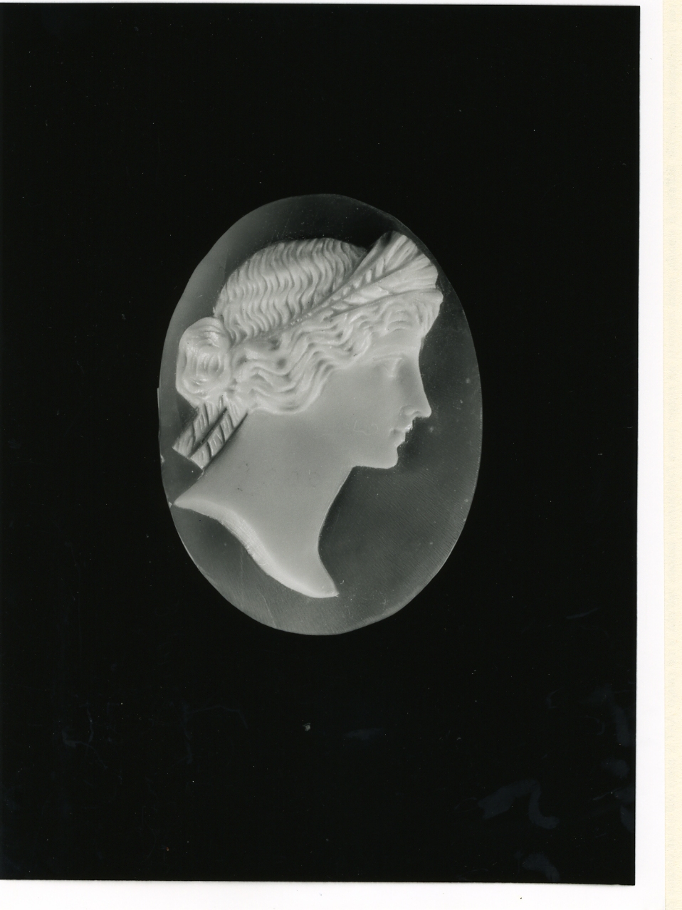 testa di donna (cammeo) - bottega napoletana (inizio sec. XX)