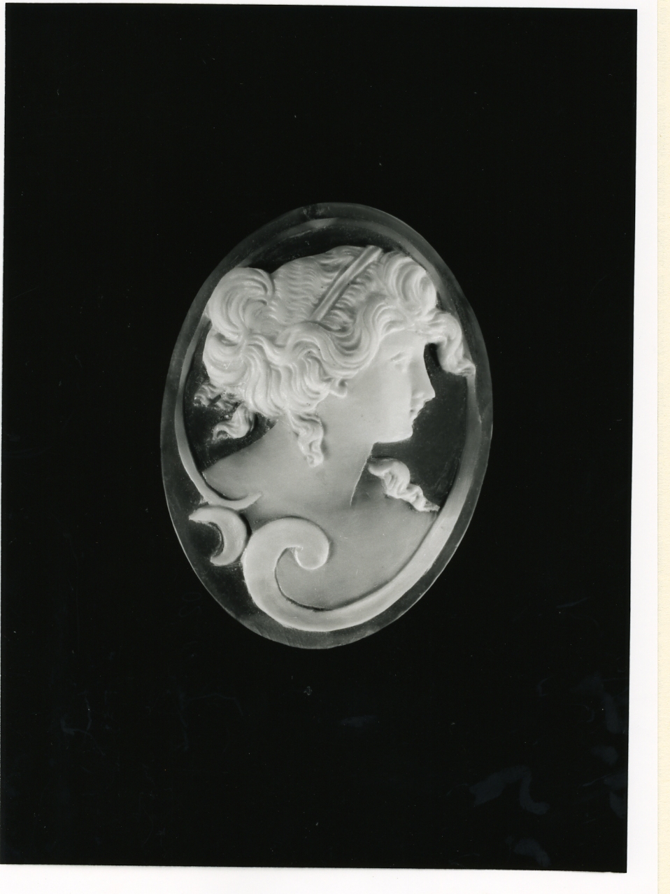 testa di donna (cammeo) - bottega napoletana (inizio sec. XX)