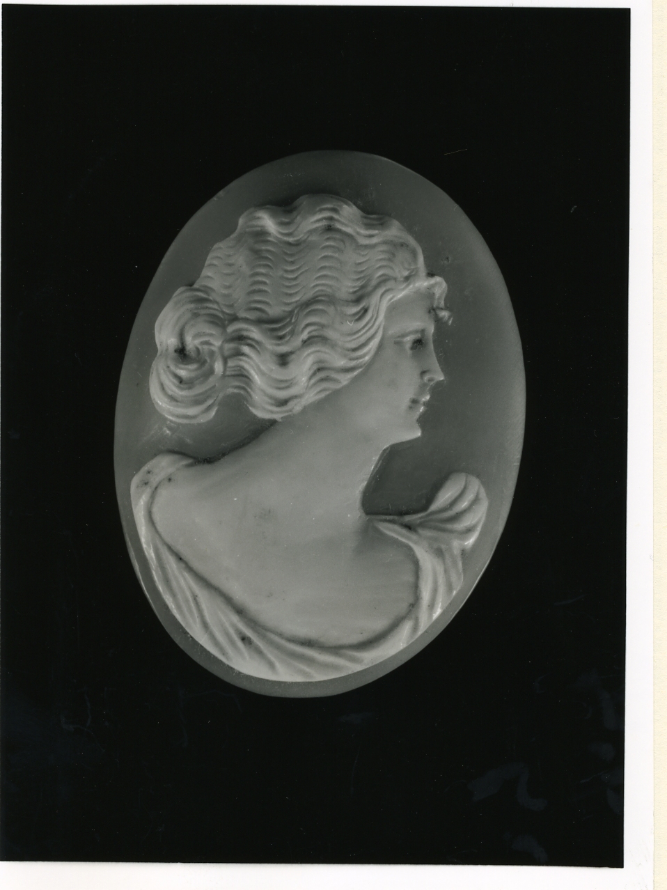 testa di donna (cammeo) - manifattura napoletana (inizio sec. XX)