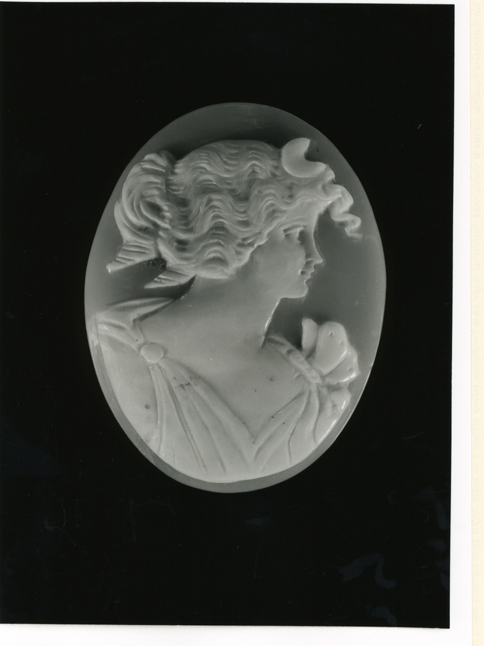 testa di donna (cammeo) - manifattura napoletana (inizio sec. XX)
