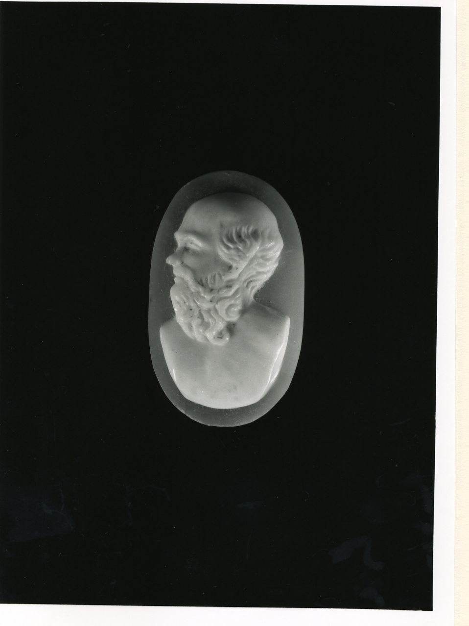 testa d'uomo (cammeo) - bottega napoletana (inizio sec. XX)