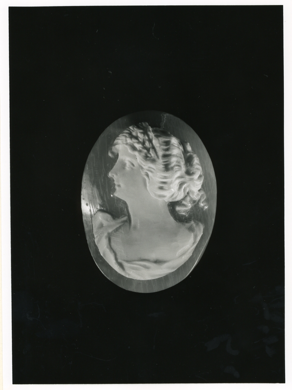 testa di donna (cammeo) - bottega napoletana (inizio sec. XX)