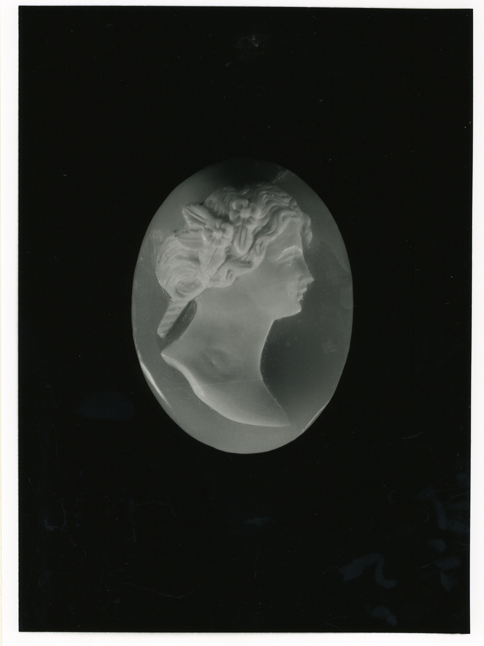 testa di donna (cammeo) - bottega napoletana (metà sec. XX)