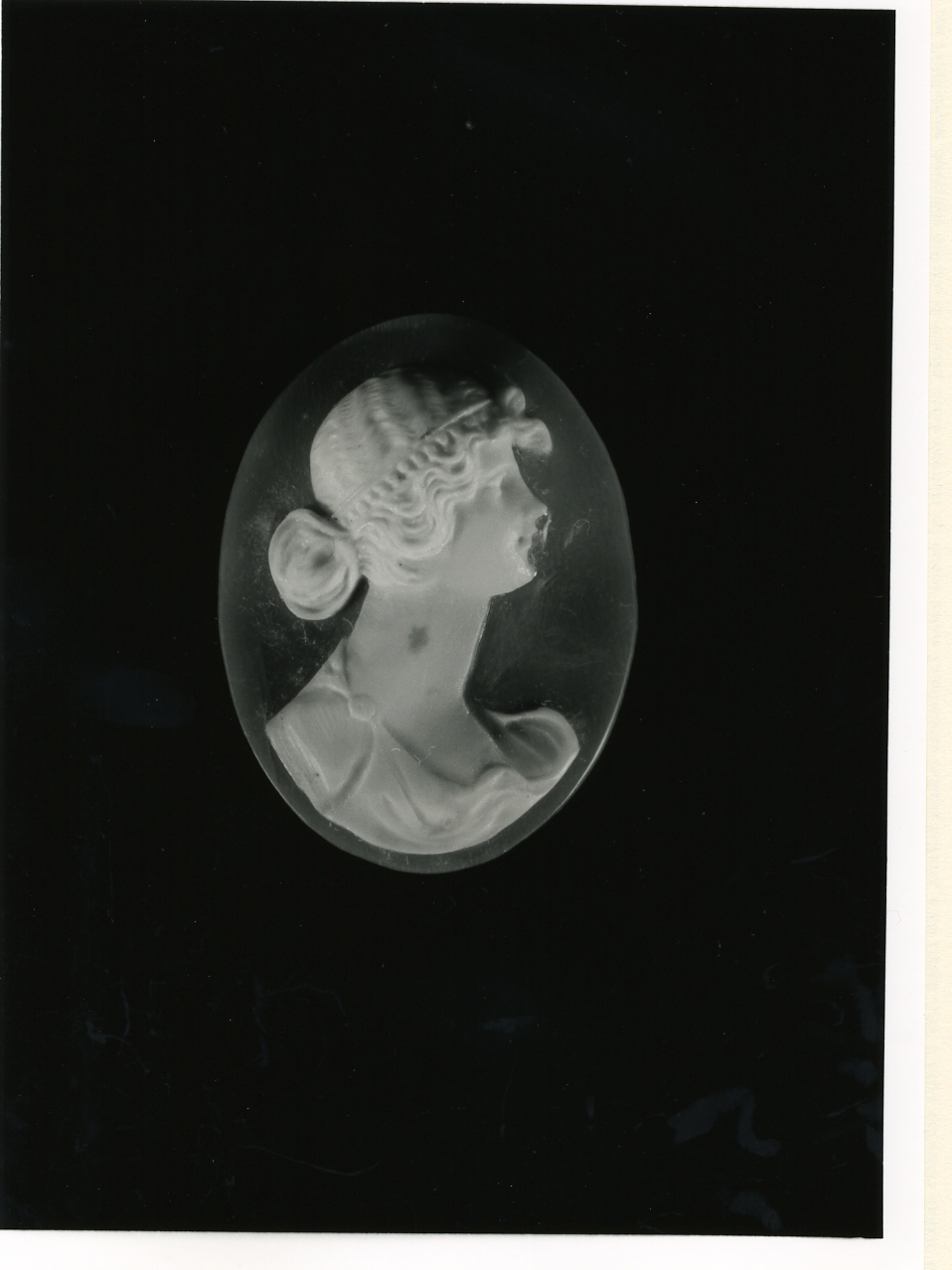 testa di donna (cammeo) - bottega napoletana (inizio sec. XX)