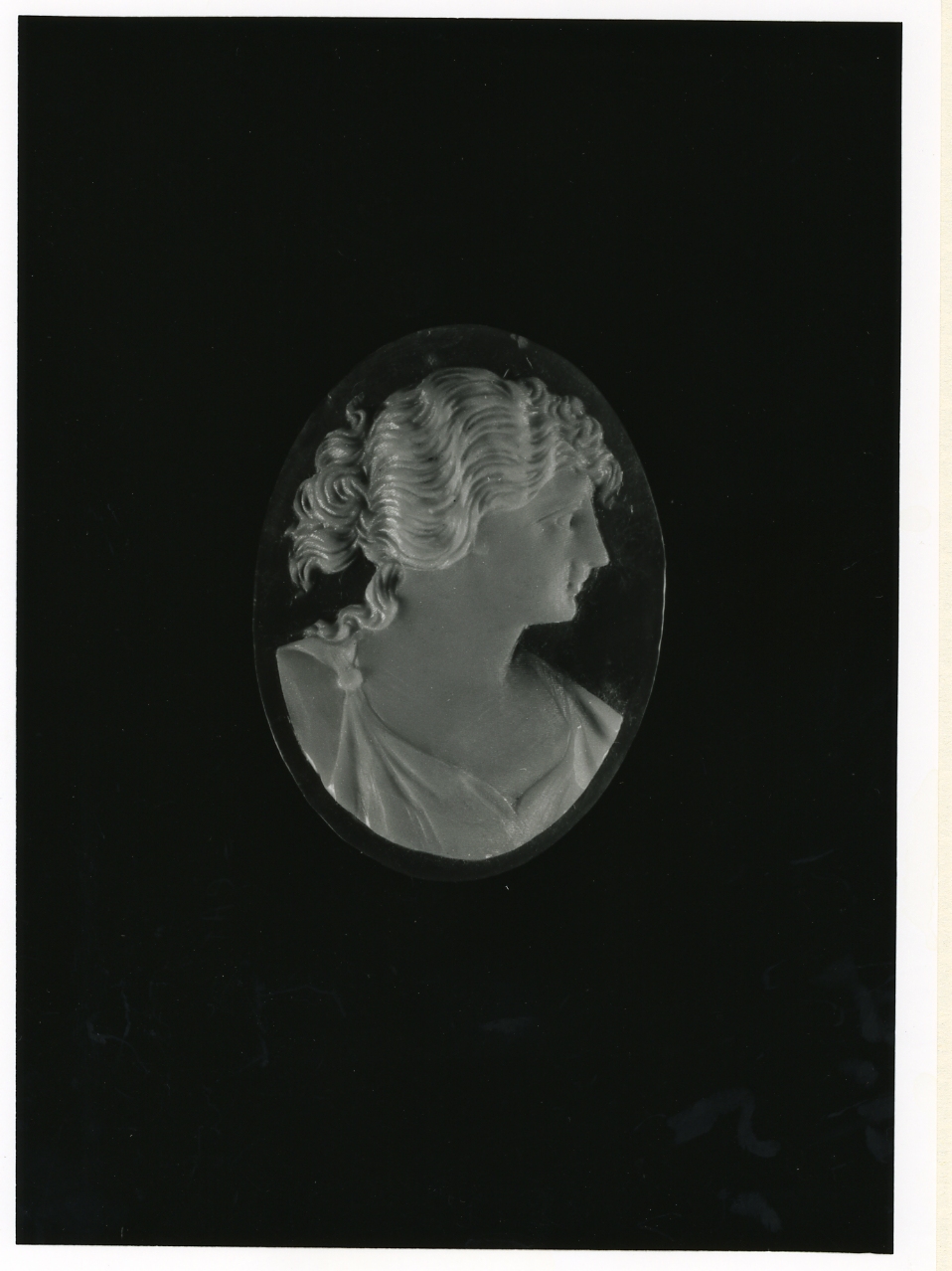 testa di donna (cammeo) - bottega napoletana (inizio sec. XX)