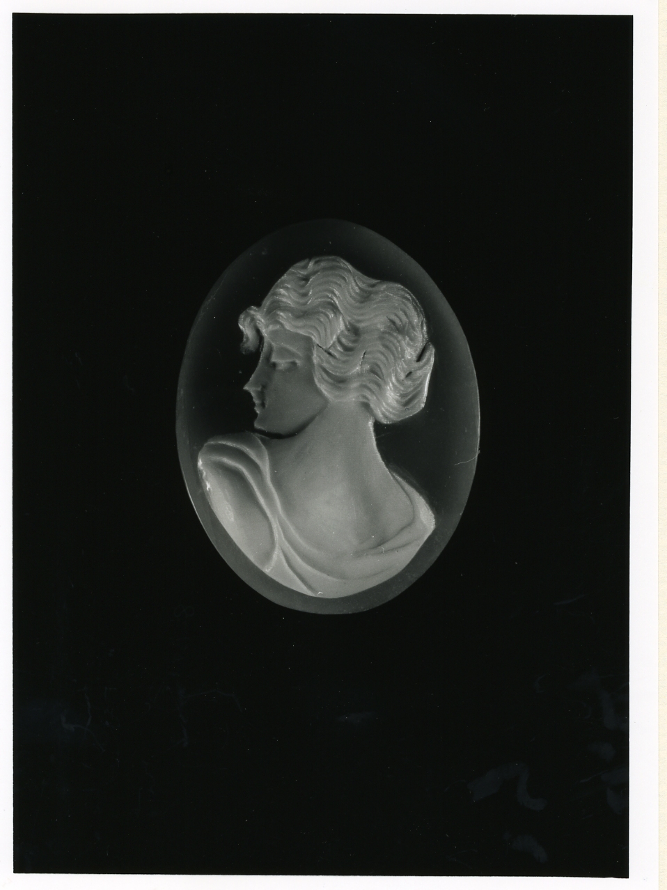 testa di donna (cammeo) - bottega napoletana (inizio sec. XX)