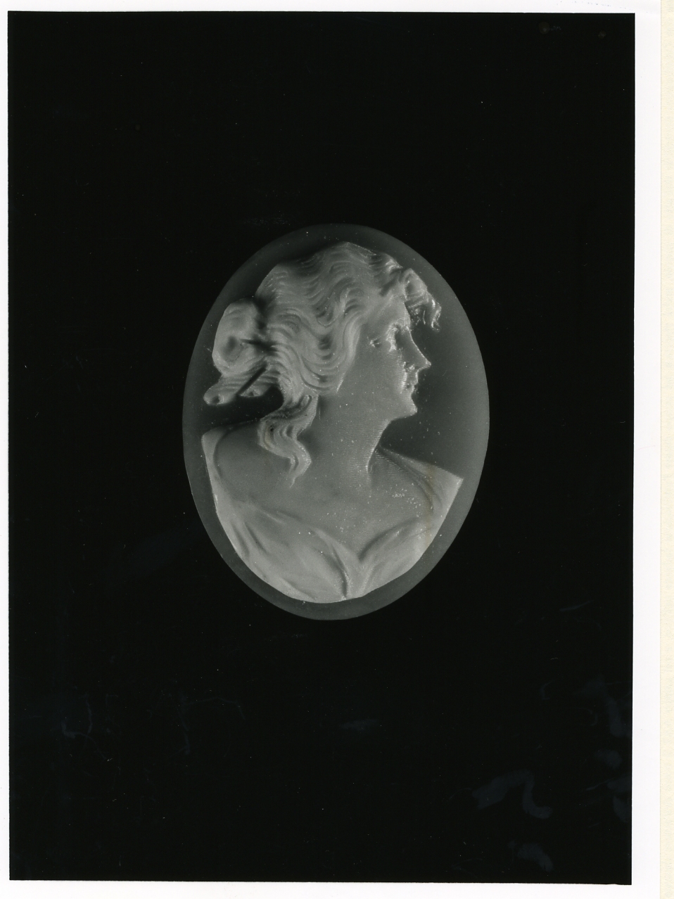 testa di donna (cammeo) - bottega napoletana (inizio sec. XX)