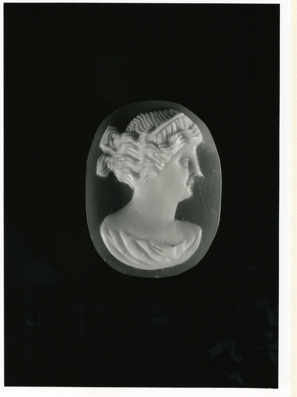 testa di donna (cammeo) - bottega napoletana (inizio sec. XX)