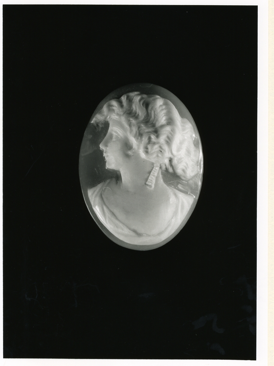 testa di donna (cammeo) - bottega napoletana (inizio sec. XX)