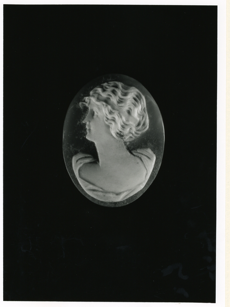 testa di donna (cammeo) - bottega napoletana (inizio sec. XX)