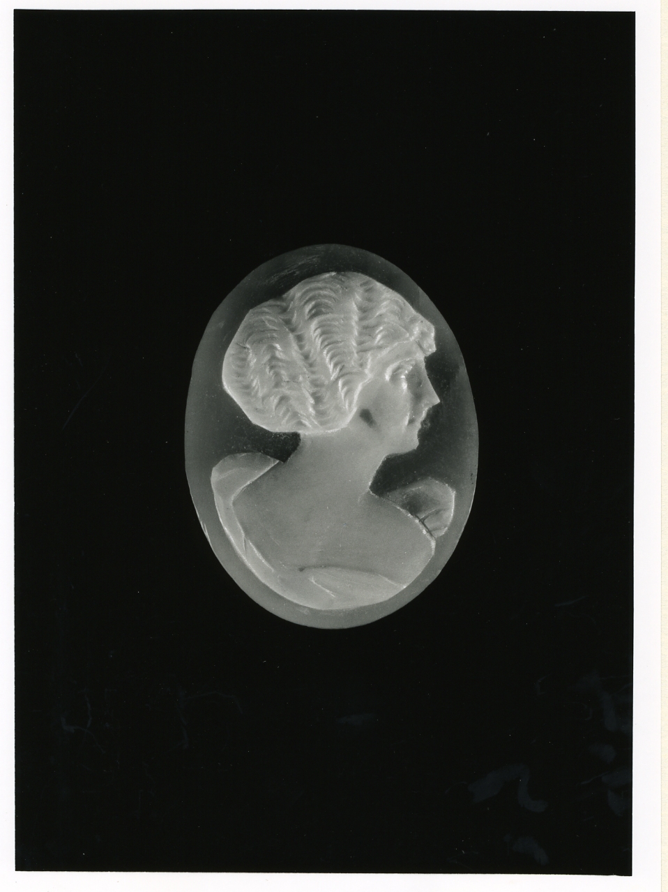 testa di donna (cammeo) - bottega napoletana (inizio sec. XX)