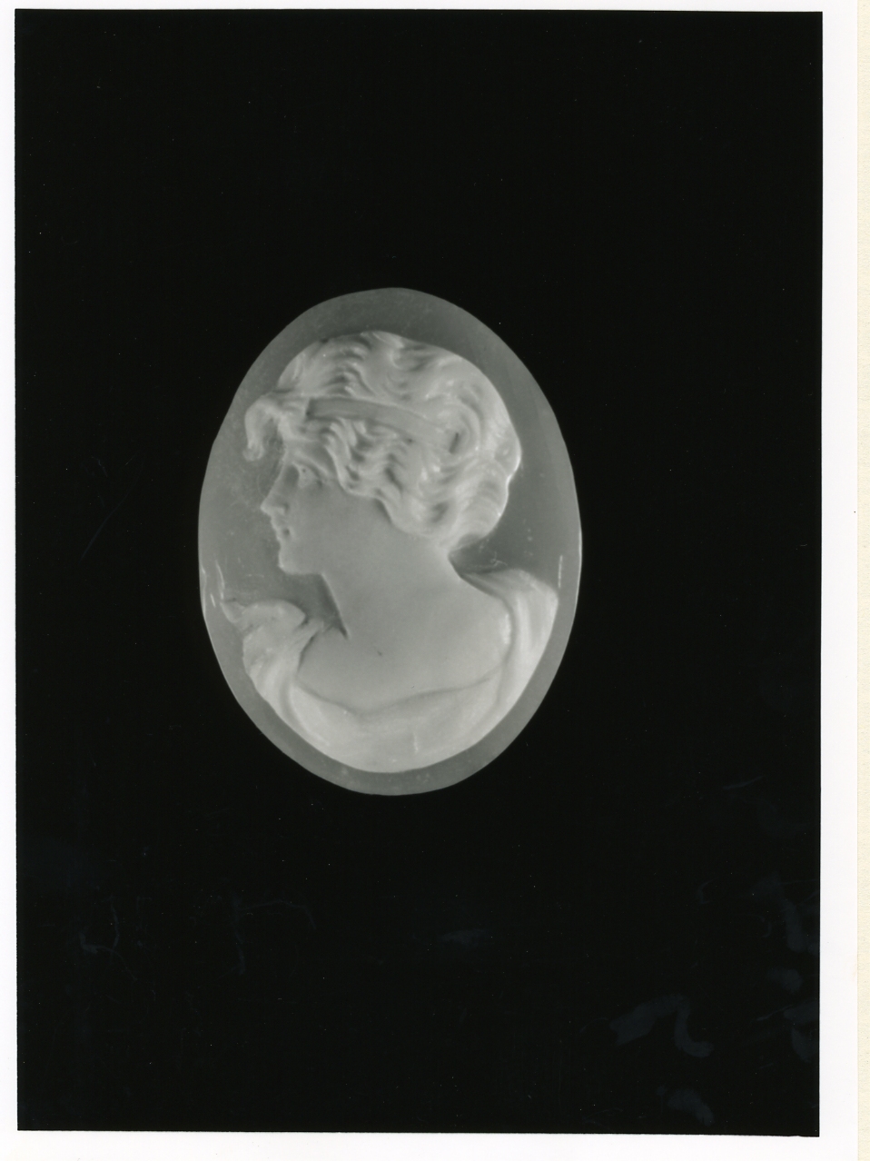testa di donna (cammeo) - bottega napoletana (inizio sec. XX)