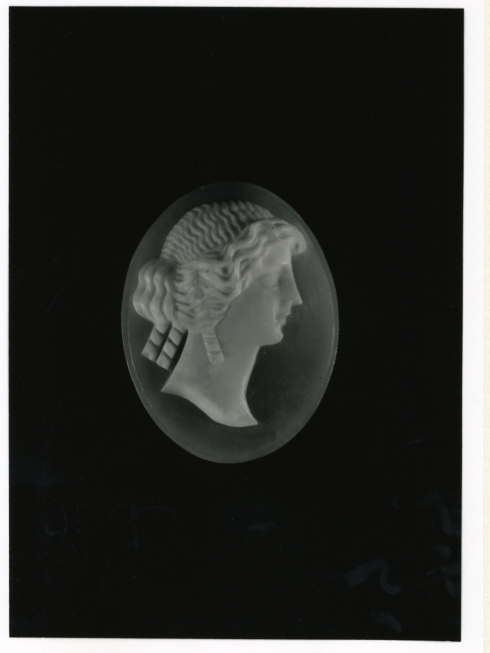 testa di donna (cammeo) - bottega napoletana (inizio sec. XX)