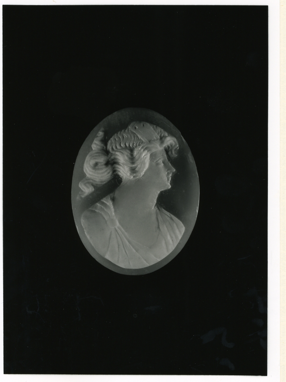 testa di donna (cammeo) - bottega napoletana (inizio sec. XX)