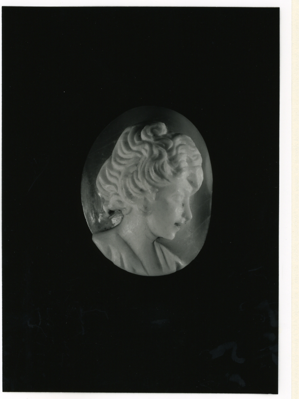 testa di donna (cammeo) - bottega napoletana (inizio sec. XX)