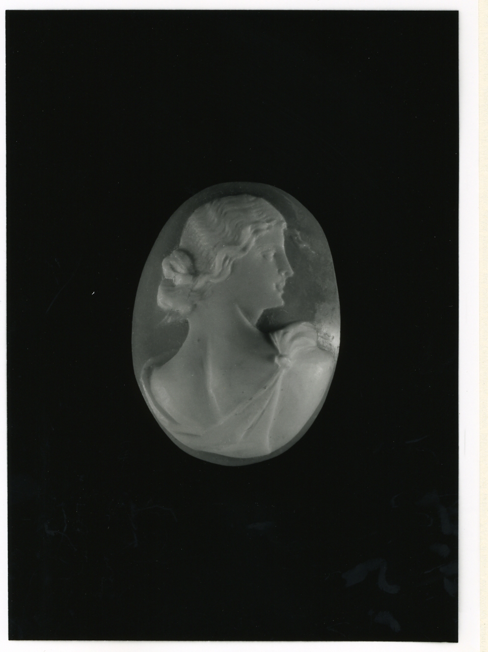 testa di donna (cammeo) - bottega napoletana (inizio sec. XX)