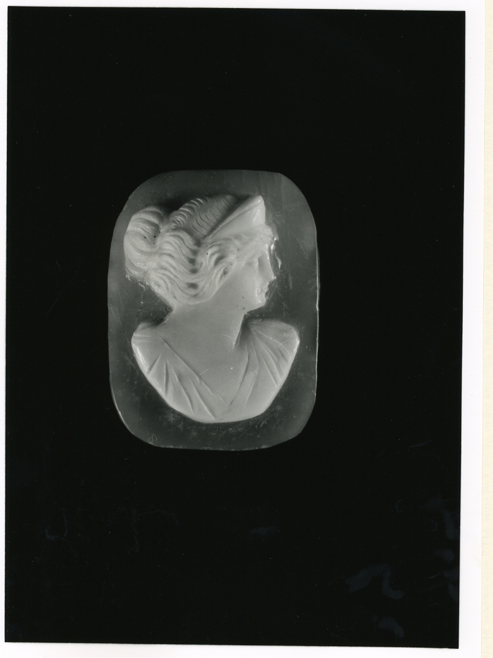 testa di donna (cammeo) - bottega napoletana (inizio sec. XX)
