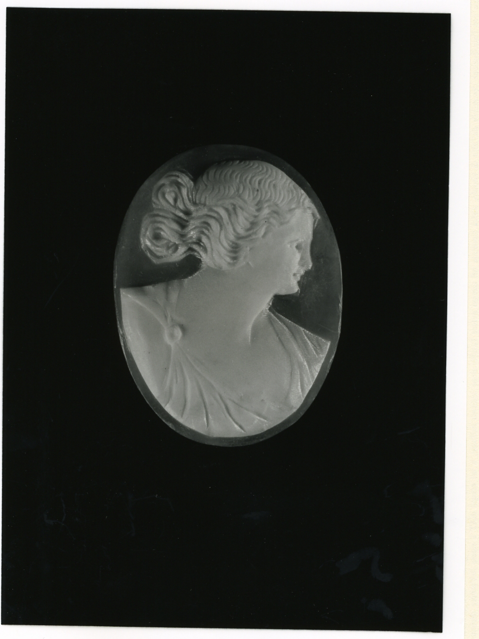 testa di donna (cammeo) - bottega napoletana (inizio sec. XX)