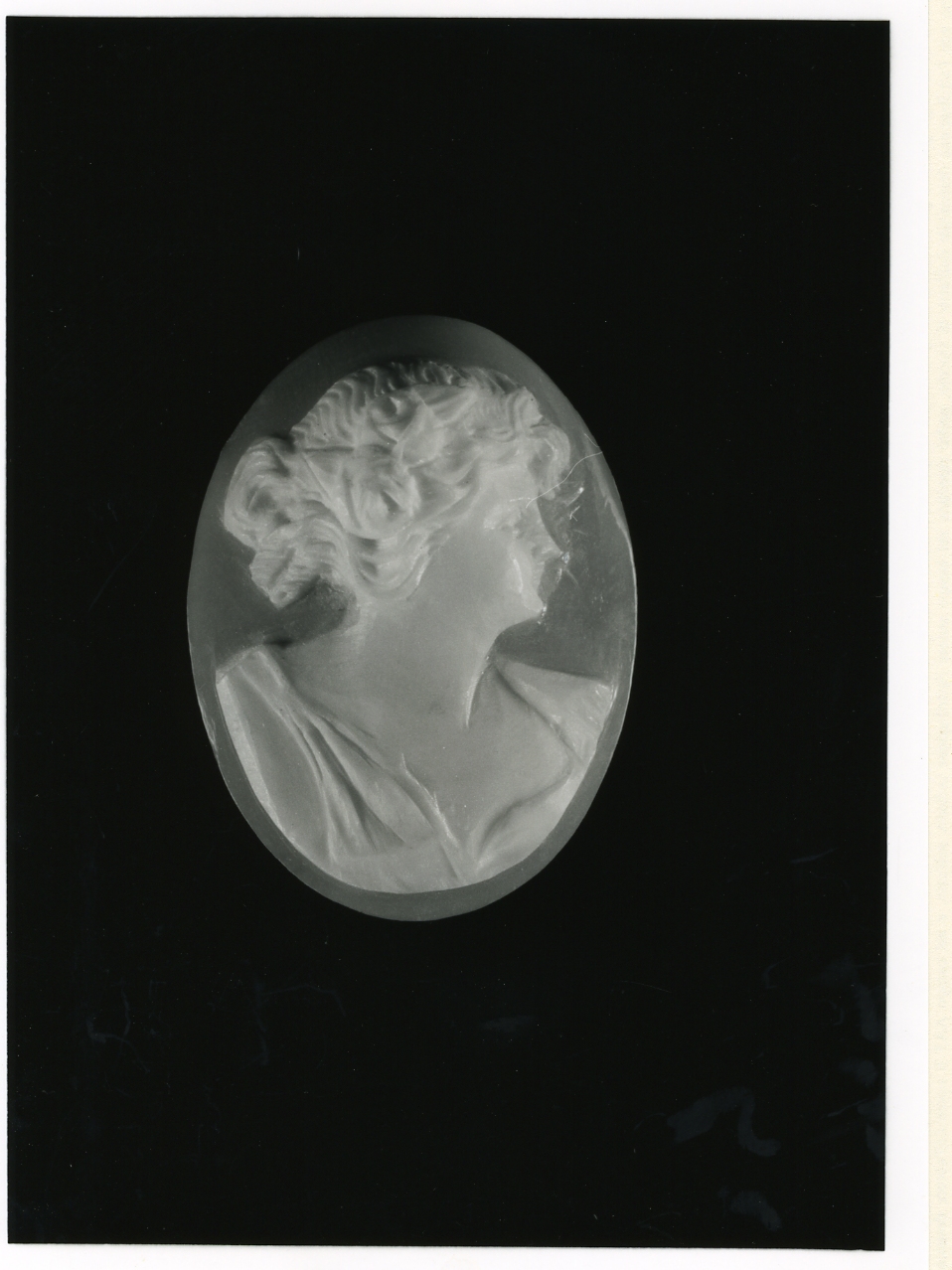 testa di donna (cammeo) - bottega napoletana (inizio sec. XX)