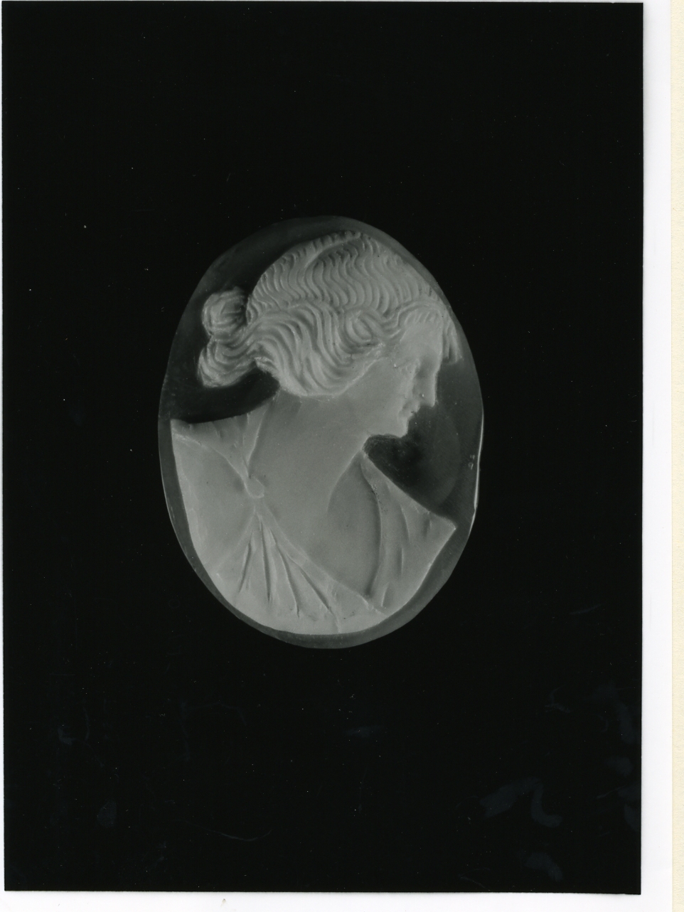 testa di donna (cammeo) - bottega napoletana (inizio sec. XX)