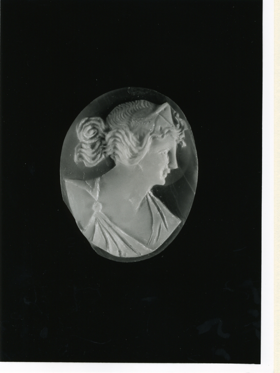 testa di donna (cammeo) - bottega napoletana (inizio sec. XX)